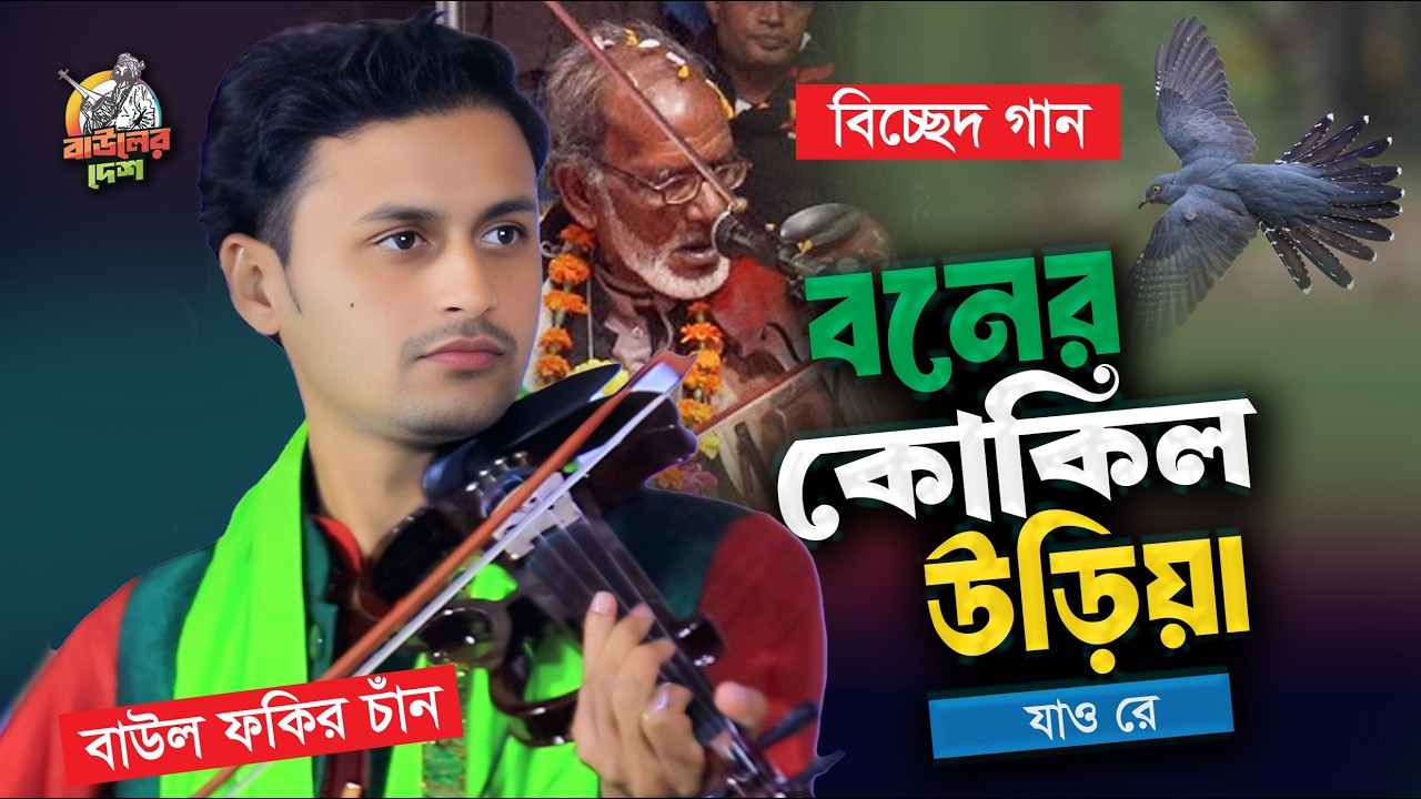 শেষ রাতে উস্তাদের বিচ্ছেদ গান গেয়ে মঞ্চ মাতালো । তুমিনি বলিতে পারো বন্ধুয়ার খবর । বাউল ফকির চাঁন । B