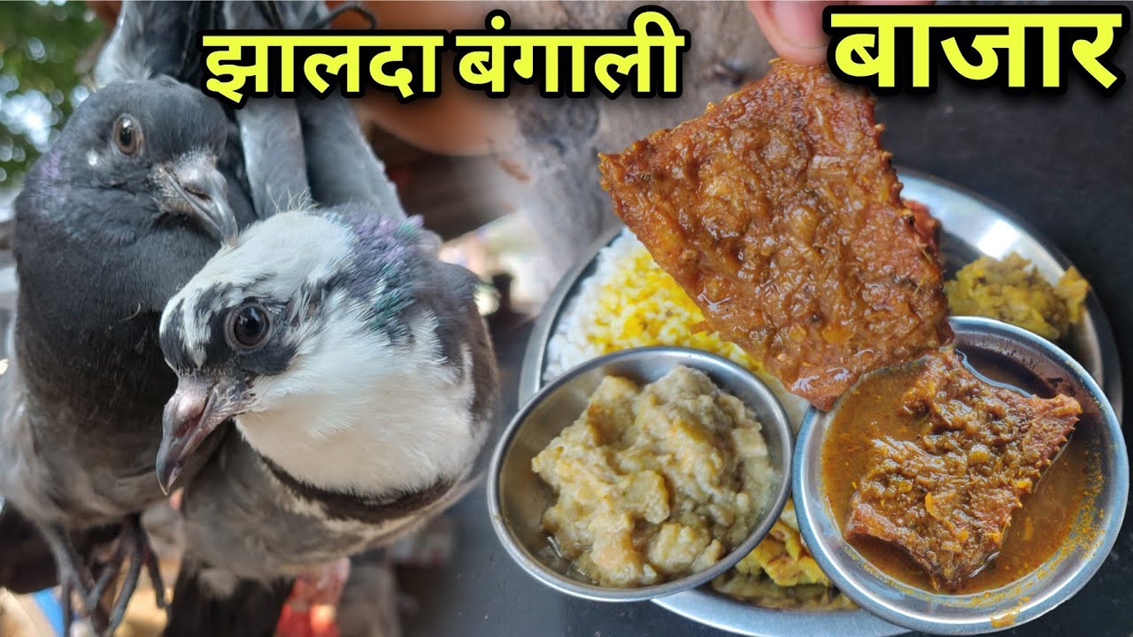 झालदा बंगाली बाजार | Rs20 मे मछली और 150 मे कबूतर मिलता यहा | Village Tribal Market | Fish Recipe