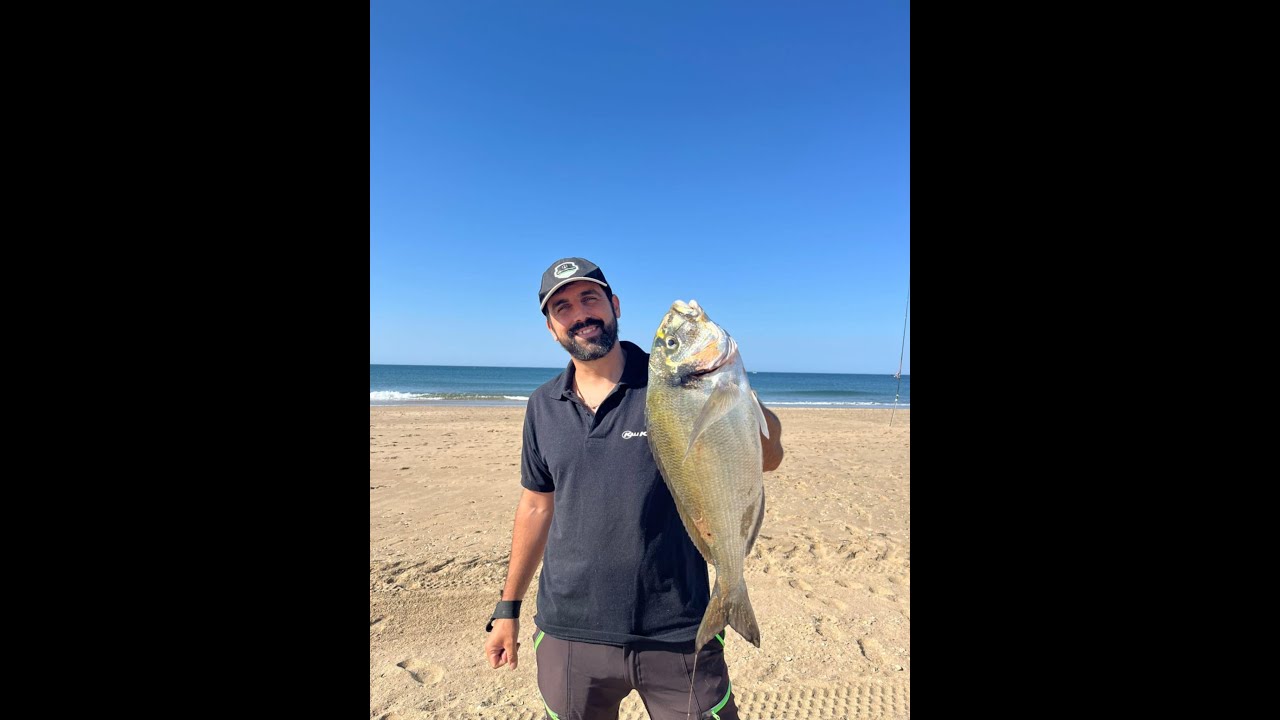 DOURADA DE VERAO. PESCA SURFCASTING. AIRFLOW 470 CANA KALIKUNNAN.