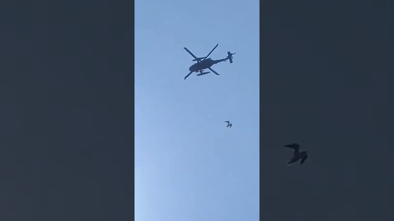 33 Baza Lotnictwa Transportowego w Powidzu, helikoptery 2022