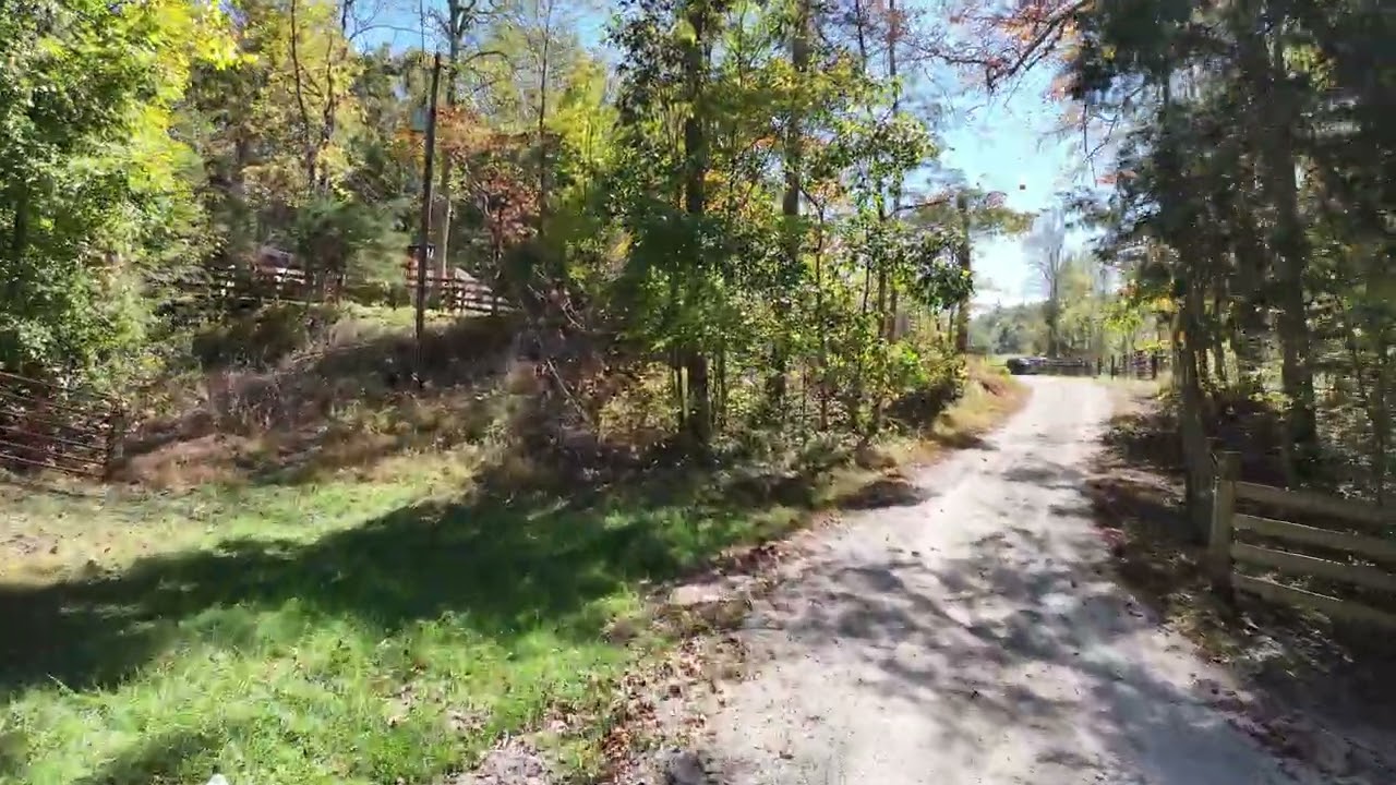 811 MT Springs Cemetery Rd, Ravenna, KY 40472.  Road view!