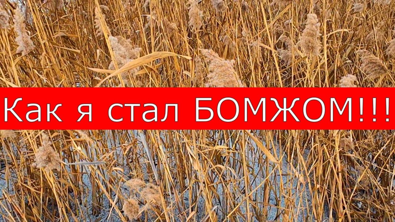 Как я стал БОМЖОМ