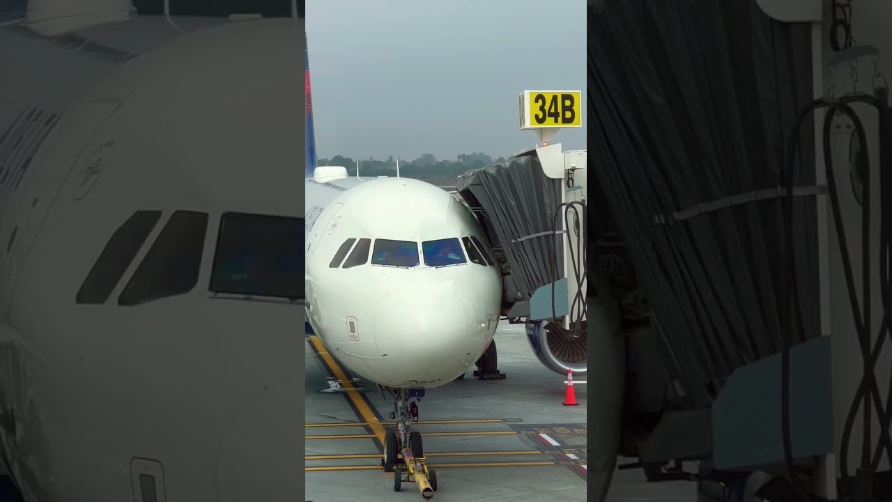 Plane Spotting LAX 2022