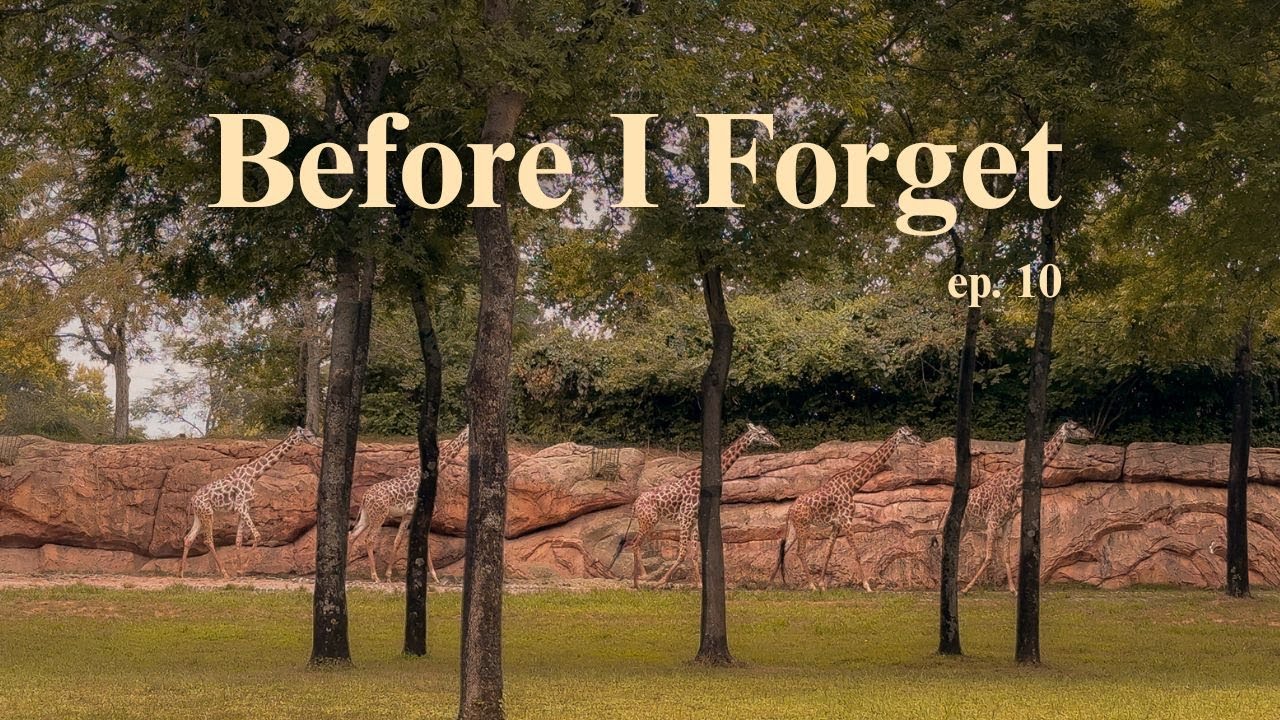Before I Forget | nashville, tennessee ⭒✮⭒