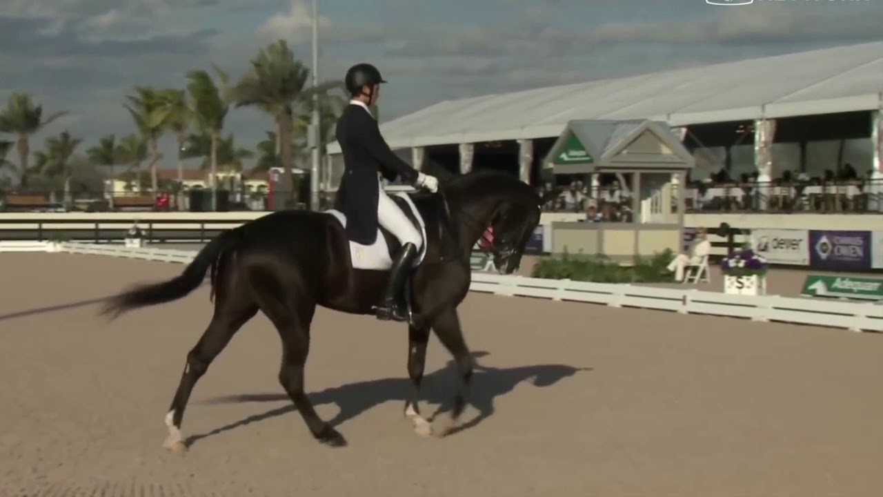 REPRISE DE DRESSAGE | Reprise B2 : Commentées par Isabelle Judet – Juge 5* Internationale