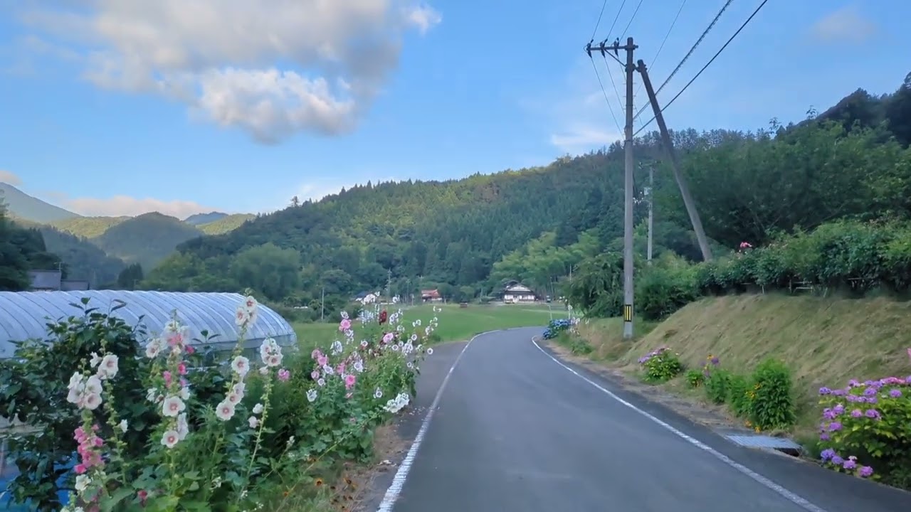 夕活ジョグ。