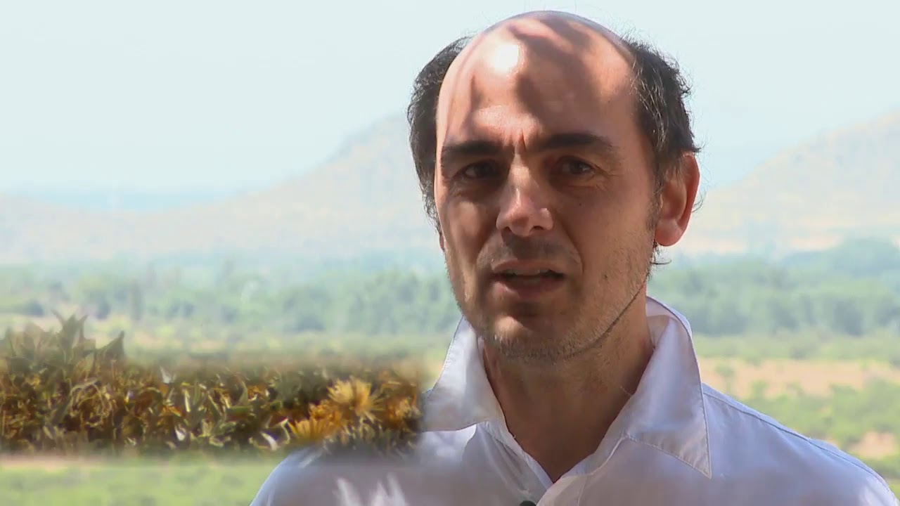 🎥 👉Mi&eacute;rcoles de Naturaleza: Deg&uacute; o rat&oacute;n cola de pincel
