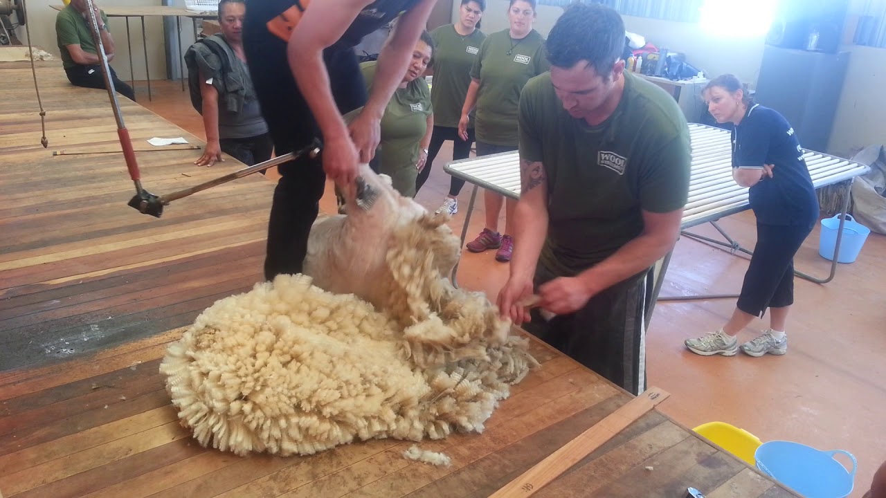 Woolhandling Hints and Tips