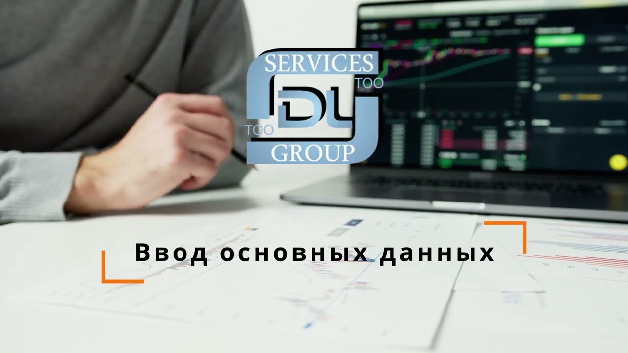 DL Audit Program  ввод основных данных.www.softdl.org +7(777)2941064+7(727)2221255