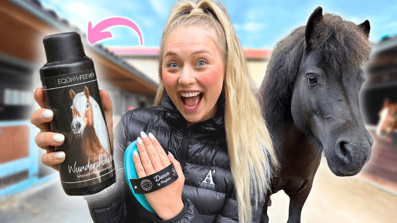 1 TAG nur INFLUENCER PRODUKTE