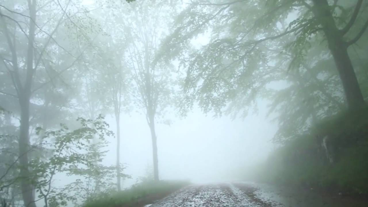 Rain Sounds 1 Hour / Sound of Rain Falling on Tin Car Roof While Driving Around Misty Forest