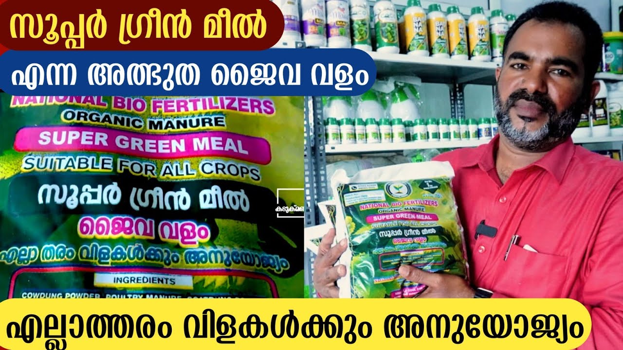 Super Green Meal Fertilizer എല്ലാ ചെടികൾക്കും ഉപയോഗിക്കാൻ പറ്റുന്ന അത്ഭുത ജൈവ വളം | Bio Fertilizer