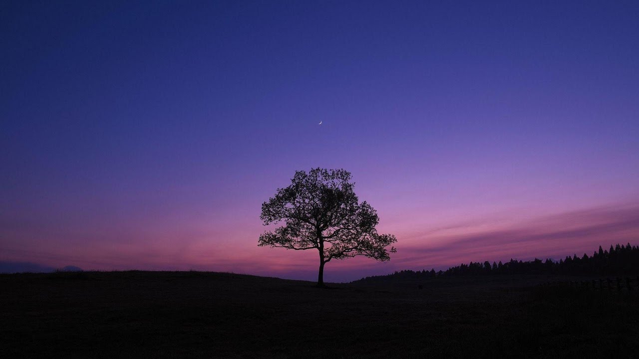 RELAXING MUSIC  (Panflute)