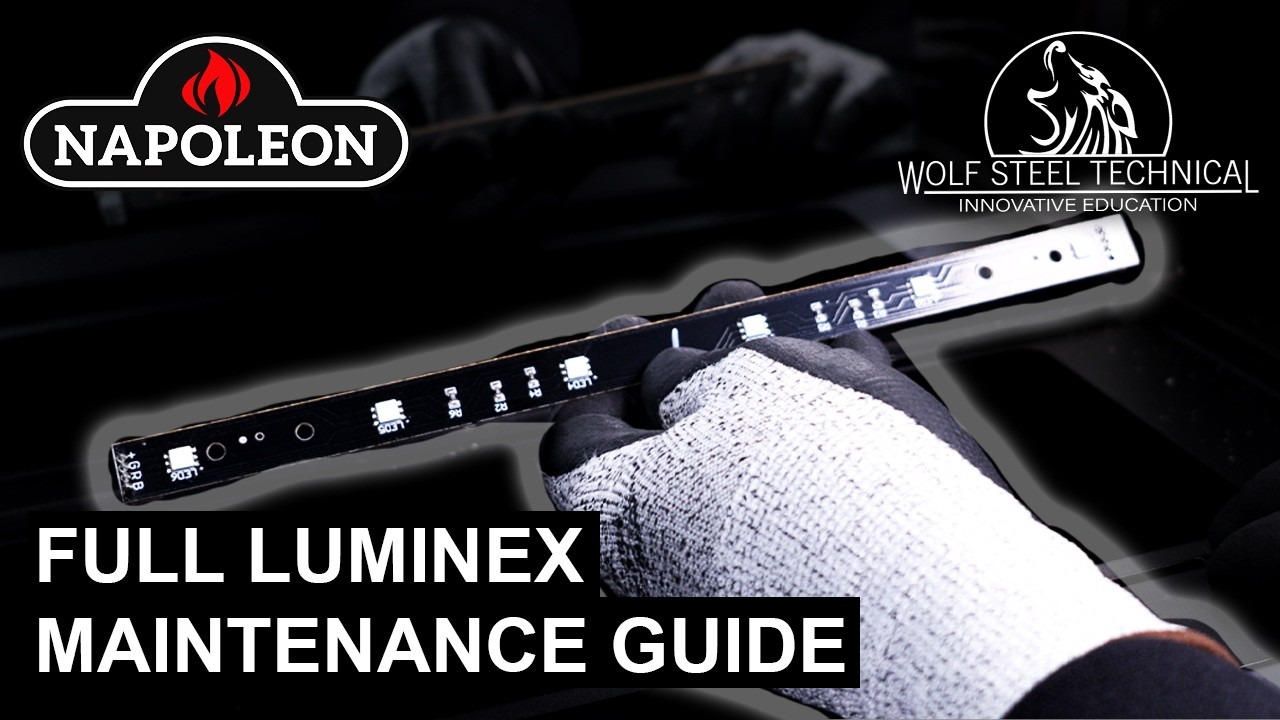 Step‑By‑Step Luminex Service Walkthrough