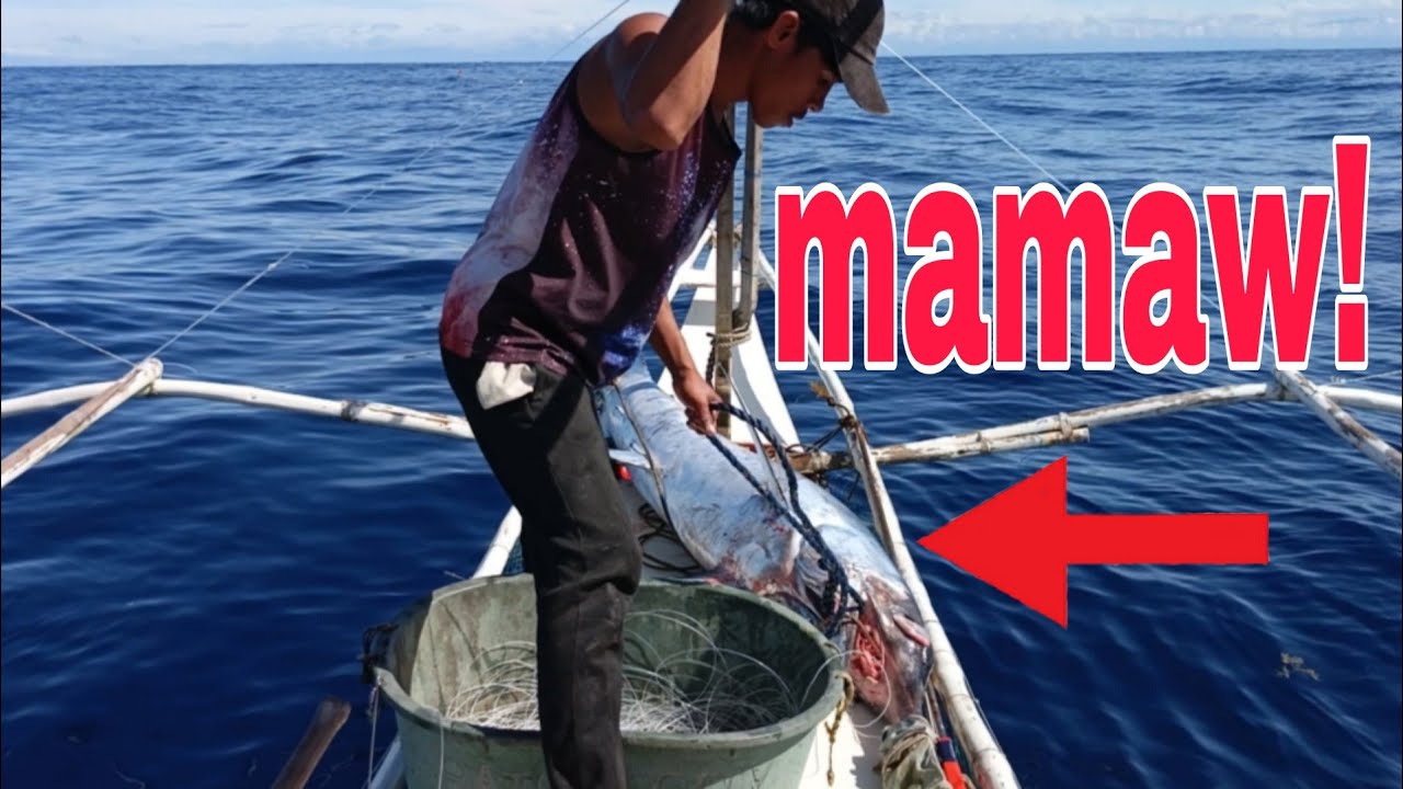Jackpot na naman | Napalaban sa malaking isda | Sword fish adventure