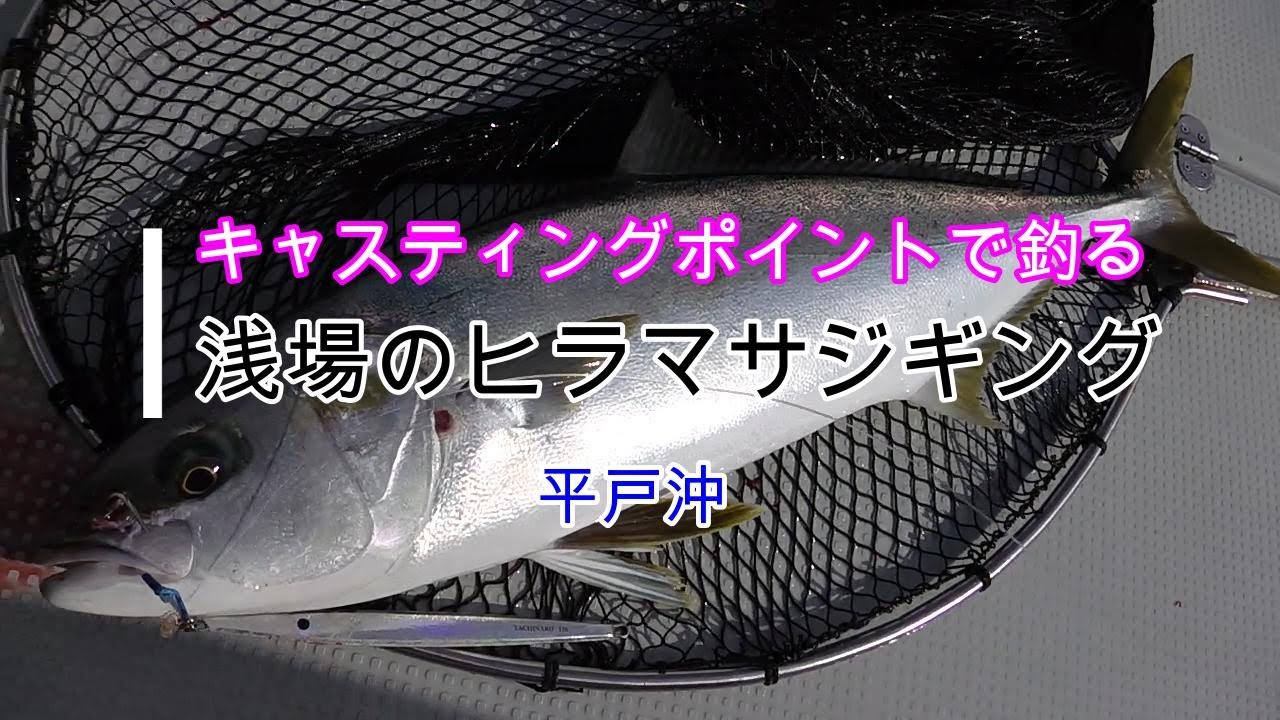 【ヒラマサ】浅場で狙うヒラマサジギング