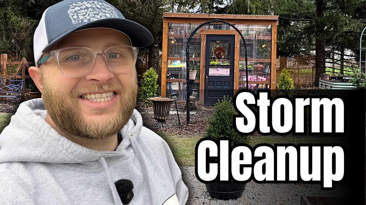 Cleaning Up the Greenhouse Garden After a Wind Storm