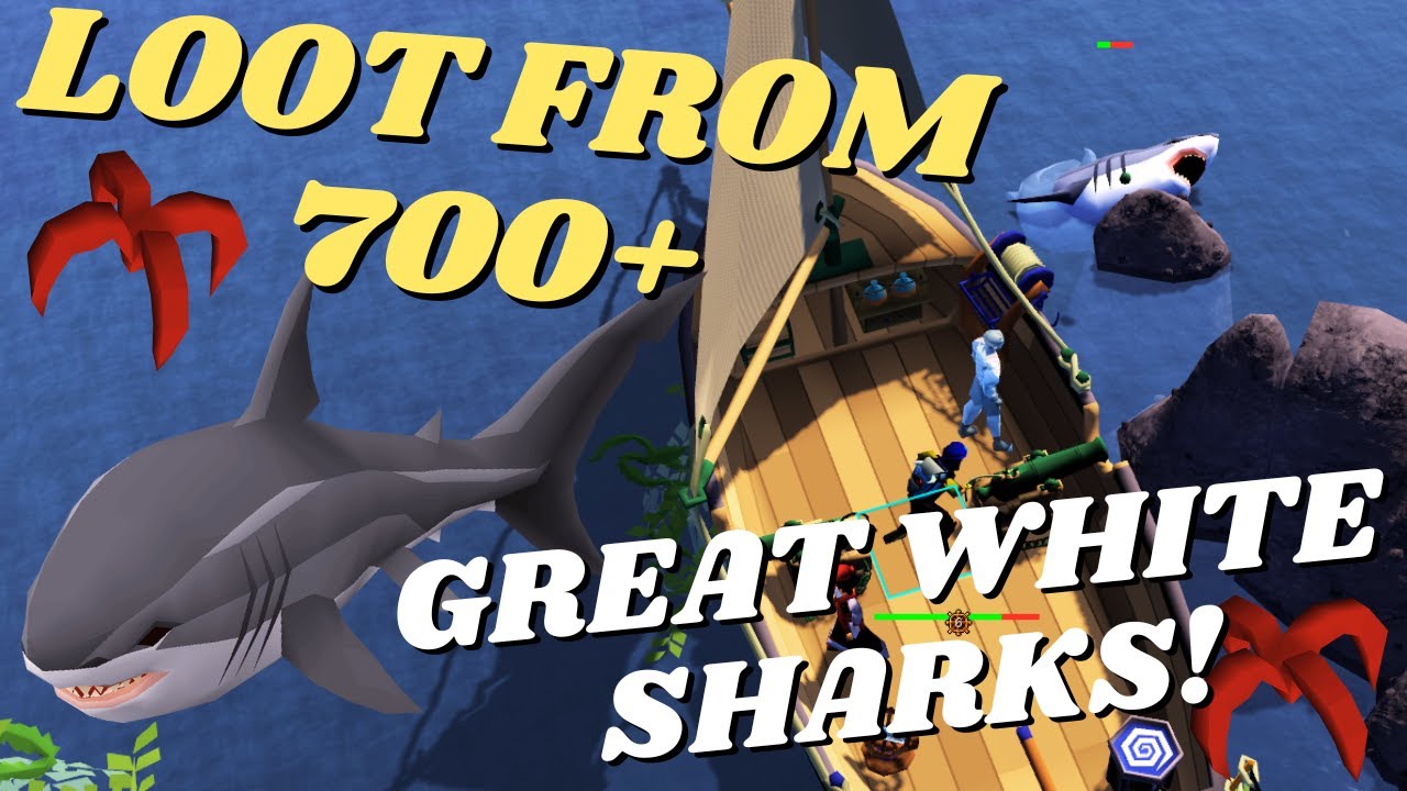 OSRS Sailing - Loot From 700+ Great White Shark Kills
