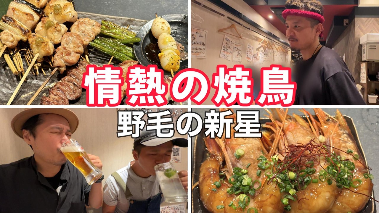 【野毛】これが個人店の底力！焼鳥も刺しも感動の味！「酉どうらく」