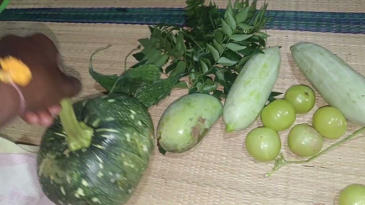 இன்று தோட்டத்தின் காய்கறி அறுவடை பார்க்கலாமா 🍋‍🟩🥦🍈🌱🌾🫛🥒🍅🫒