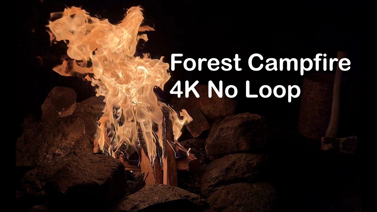 Forest Campfire 4K HDR 60FPS - Real Fireplace for Smart TV - Gentle Rain - No Loop