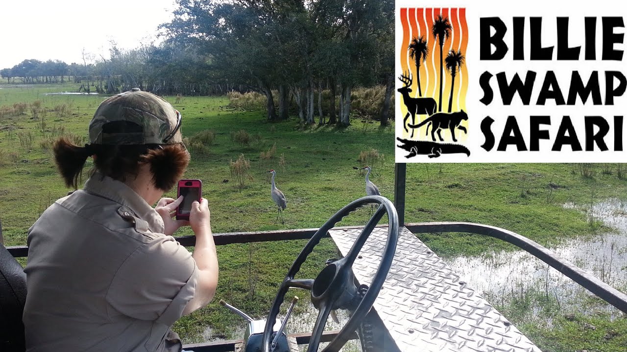 Billie Swamp Buggy Safari