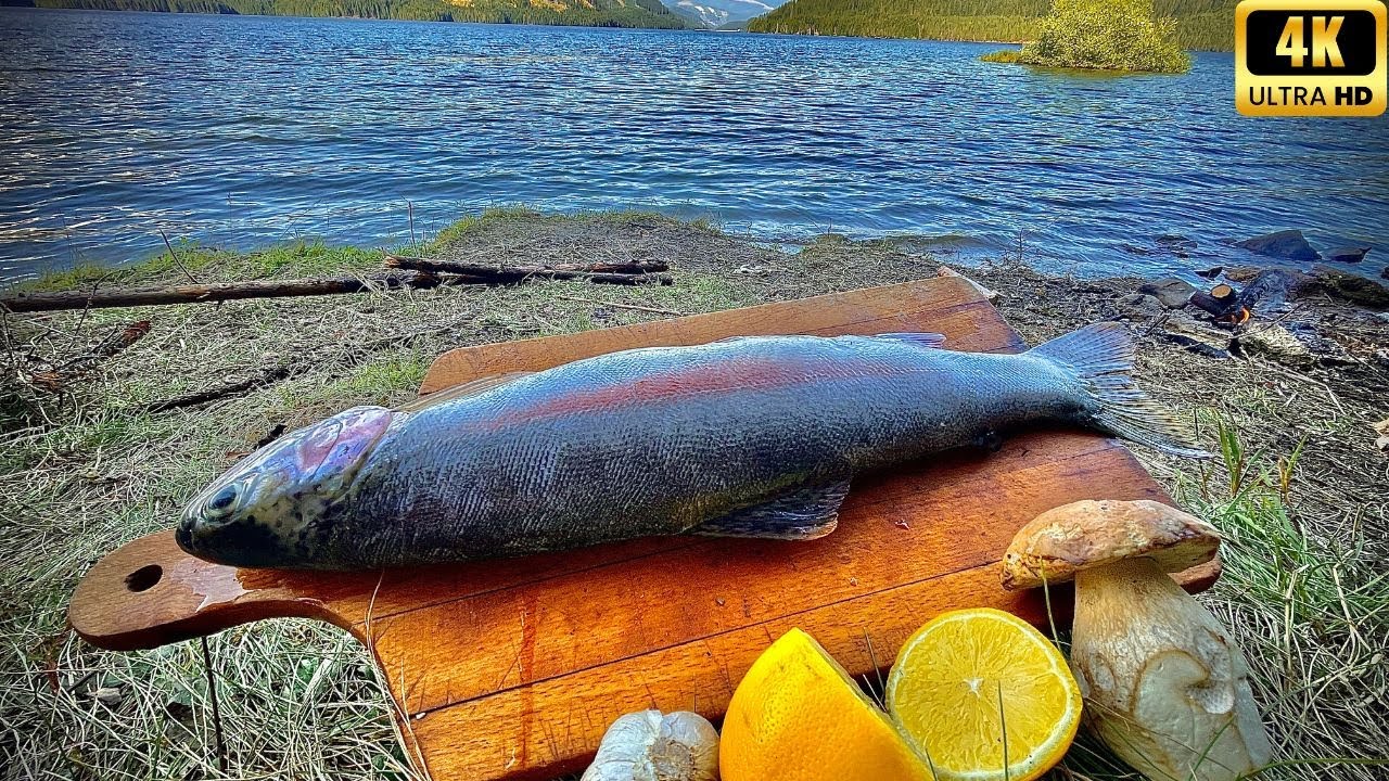 🍤🧄Am prins PĂSTRĂV, am GĂTIT și am CAMPAT 4K || Catch&Cook.