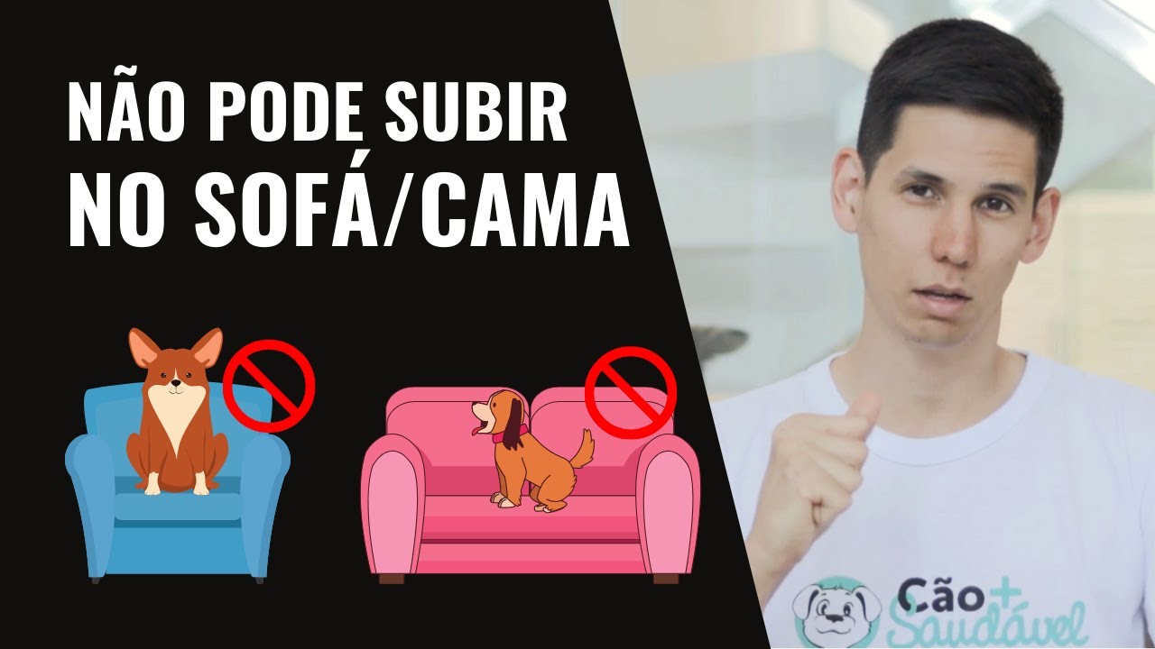 COMO ENSINAR O CACHORRO N&Atilde;O SUBIR NO SOF&Aacute; OU CAMA