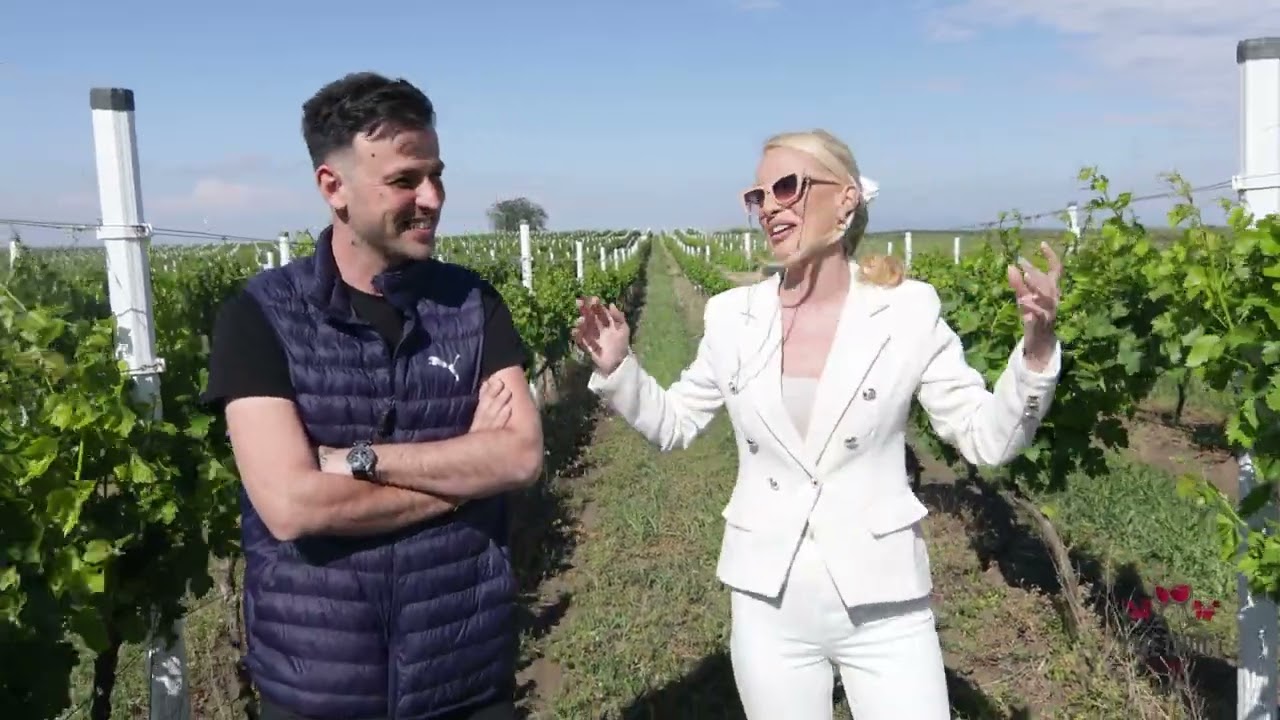 Umetnost u čaši ep. 239 04.06.2024. Vinarija Galot, Banatski Karlovac