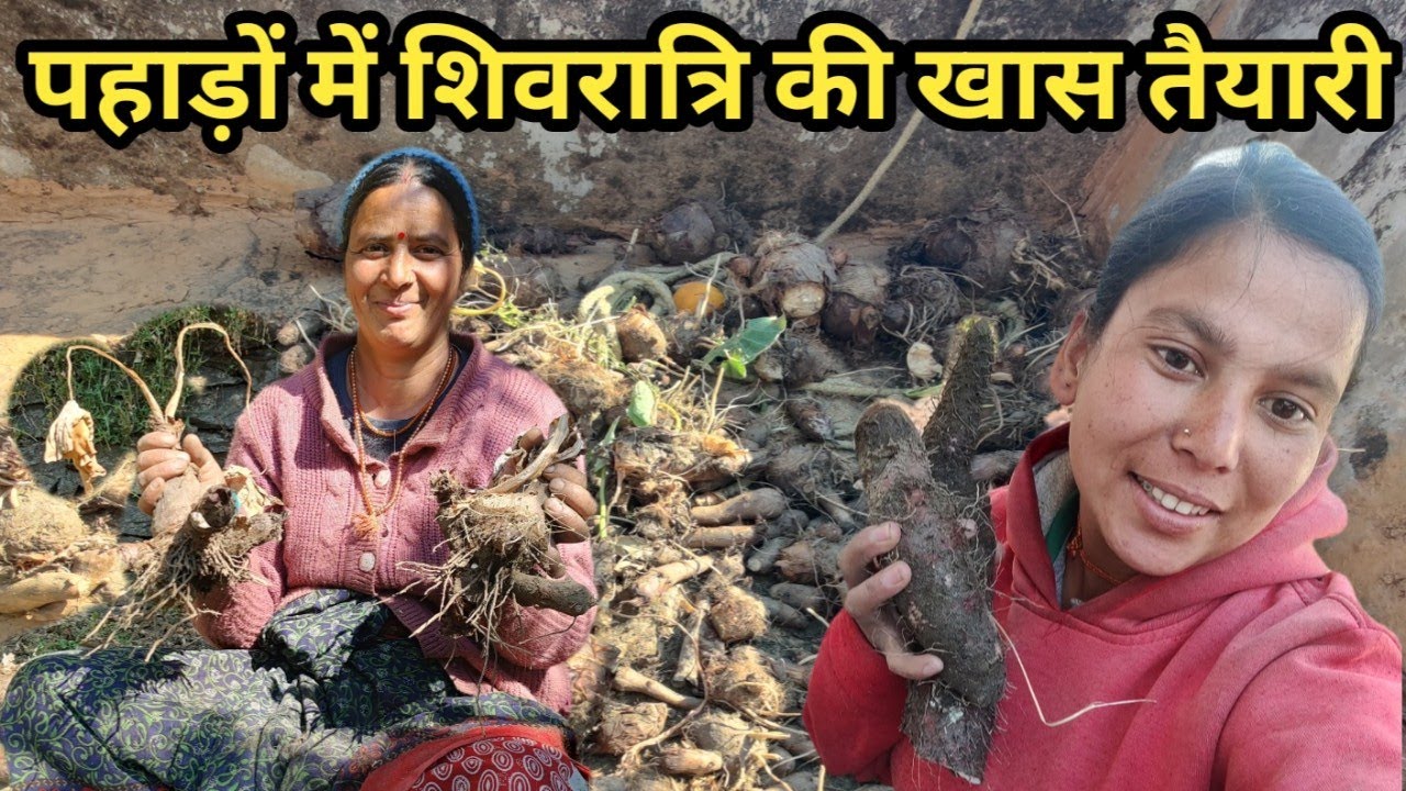 “शिवरात्रि से एक दिन पहले पिंडालू-तेडू निकालना | पहाड़ी परंपरा || | pahadi Lifestyle vlog | 