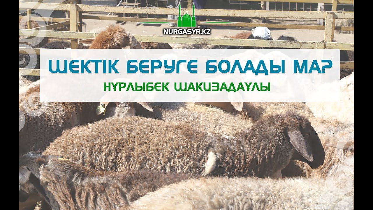 Шектік беруге болады ма? - Нұрлыбек Шакизадаұлы