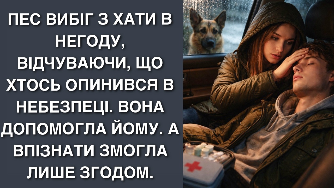 Пес вибіг з хати в негоду, відчуваючи, що хтось опинився в небезпеці. Вона допомогла йому. А в