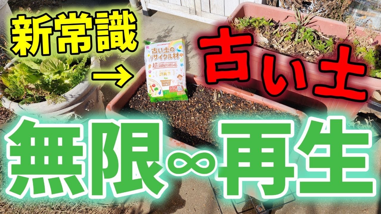 【古い土の再生】ふるい作業はもう古い！？魔法のような土のリサイクルを教えます！【カーメン君】【超カルスNC-R】【ガーデニング】【園芸】