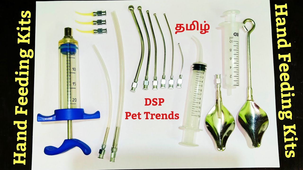 தமிழ் - Hand Feeding Kits for Exotic Parrots and Birds in Tamil