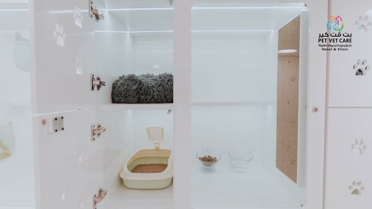 PET HOTEL FOR CATS