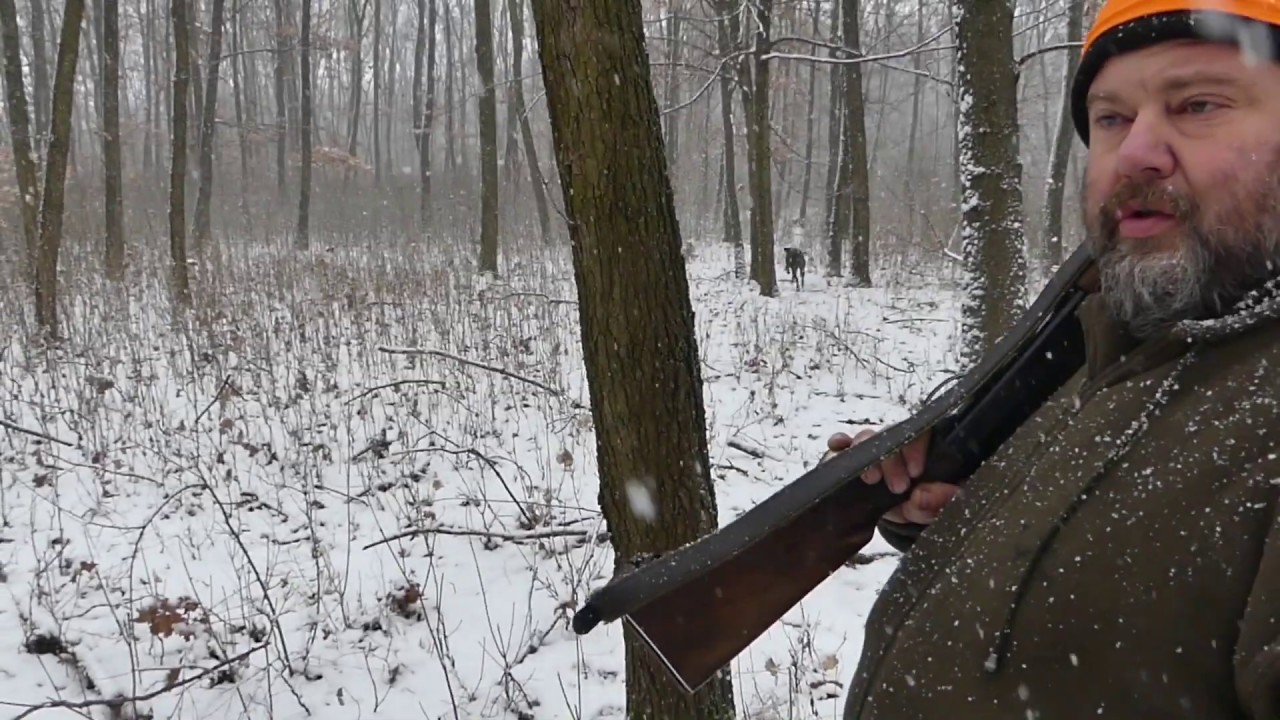 Vadászat élesben. 🎯 🦌 Megnéztem, ilyen egy vadászat a gyakorlatban. 🦊