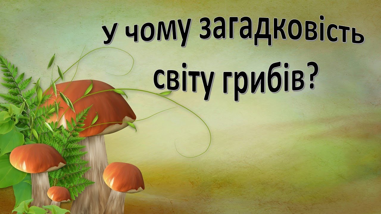 Урок 79. Гриби.   У чому загадковість світу грибів? Я досліджую світ 3 клас.