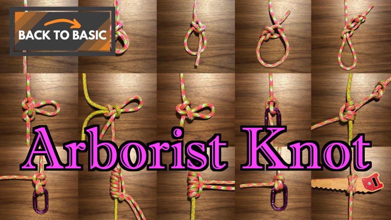[ Back To Basic 攀樹基本野 ] Arborist Knot Tutorial 攀樹繩結- 15 Basic Knots (English Subtitle)