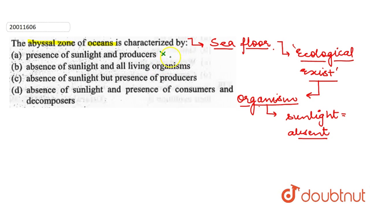 The abyssal zone of oceans is characterized by: