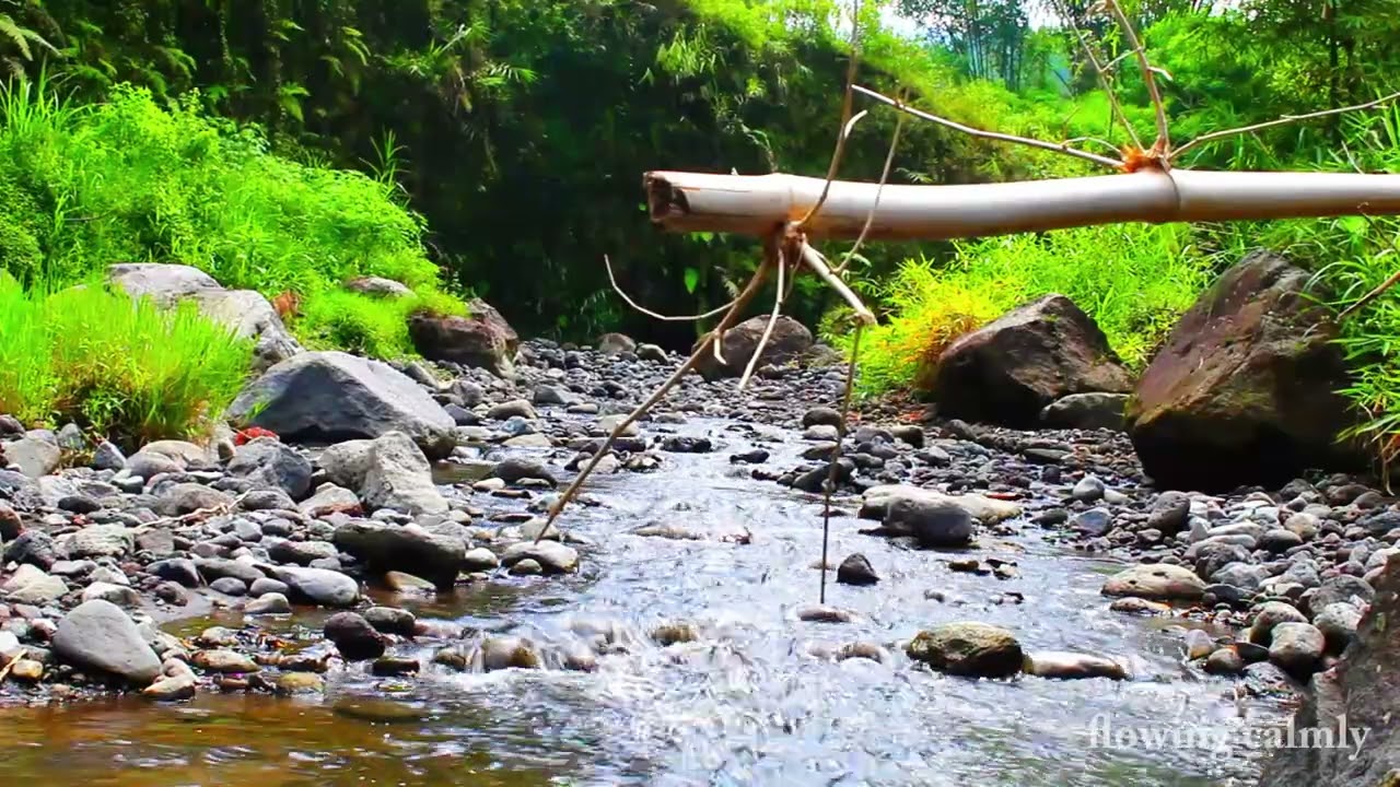 River Sounds for Deep Sleep | Calm Flowing Water ASMR,sleep soundsrain sounds river sounds