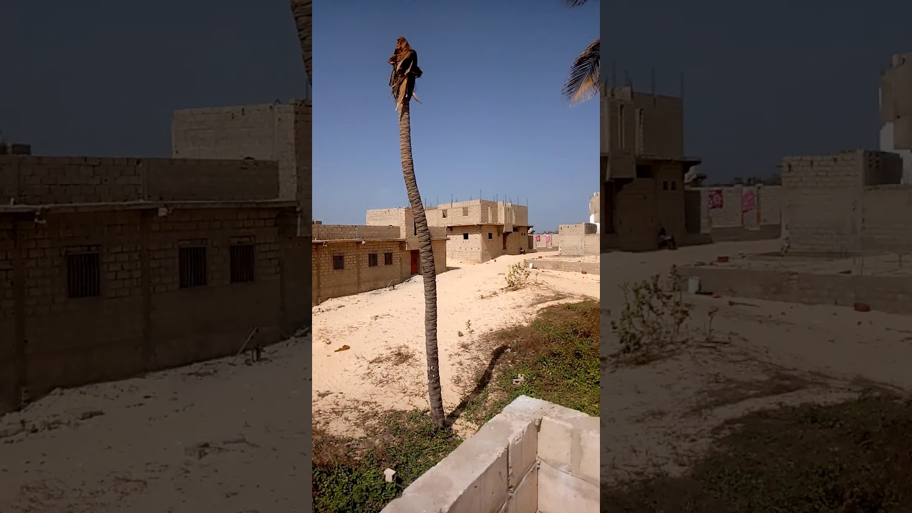 Terrains a Malika plage vdn3 150m²