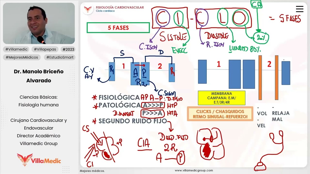 Fisiolog&iacute;a cardiovascular | Ciclo card&iacute;aco