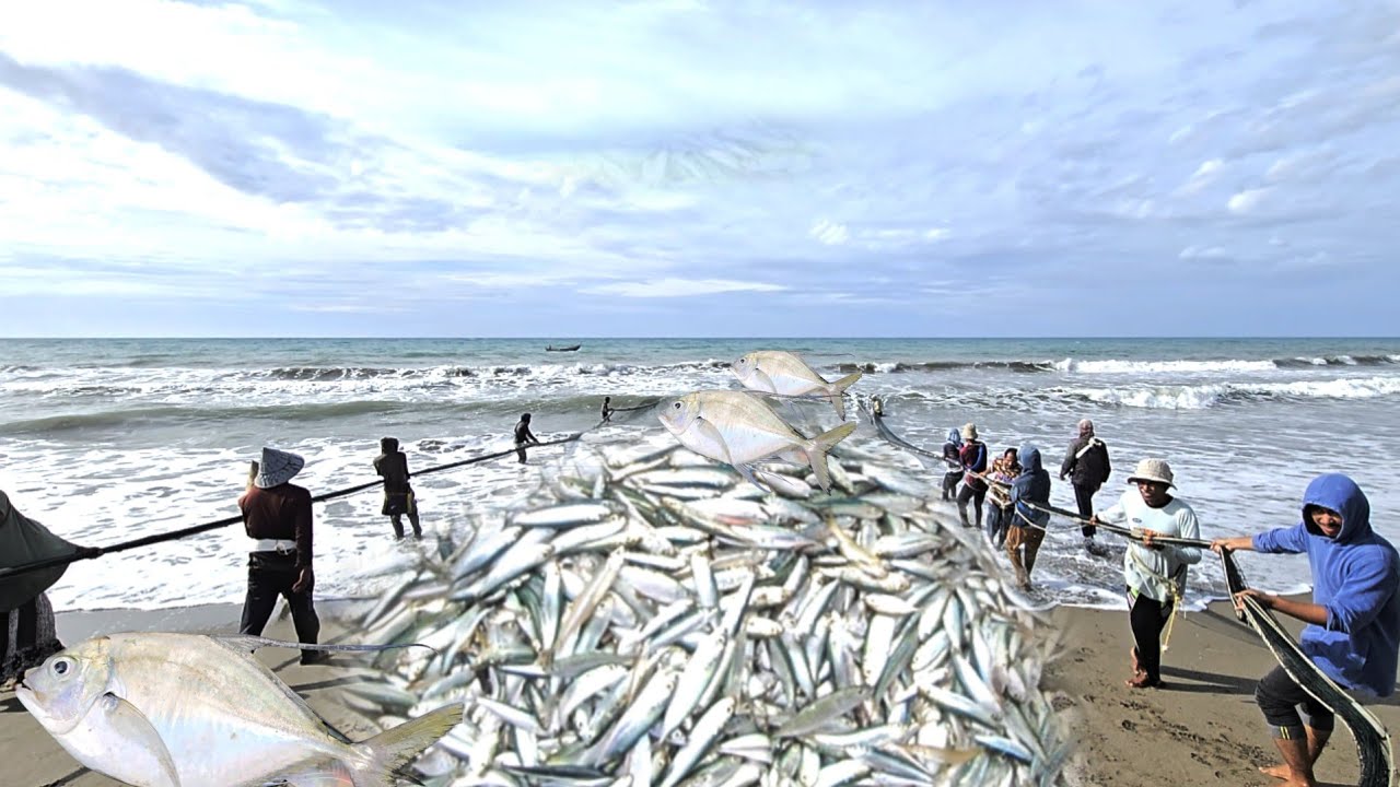 Beach Seine Fishing, Pulling in a HUGE Catch of Fish!