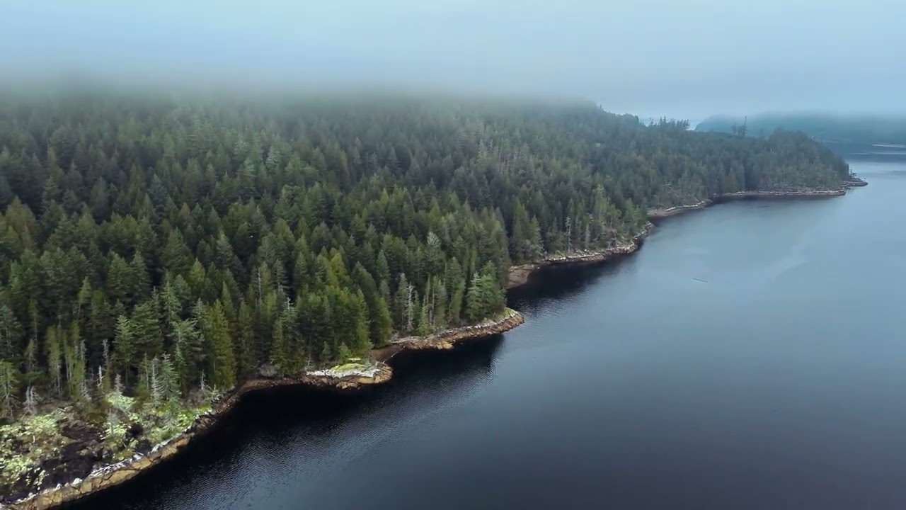 Mist Over the Inlet: The Hidden Wild Side of Port Alberni | 16 Min 4K Nature Escape