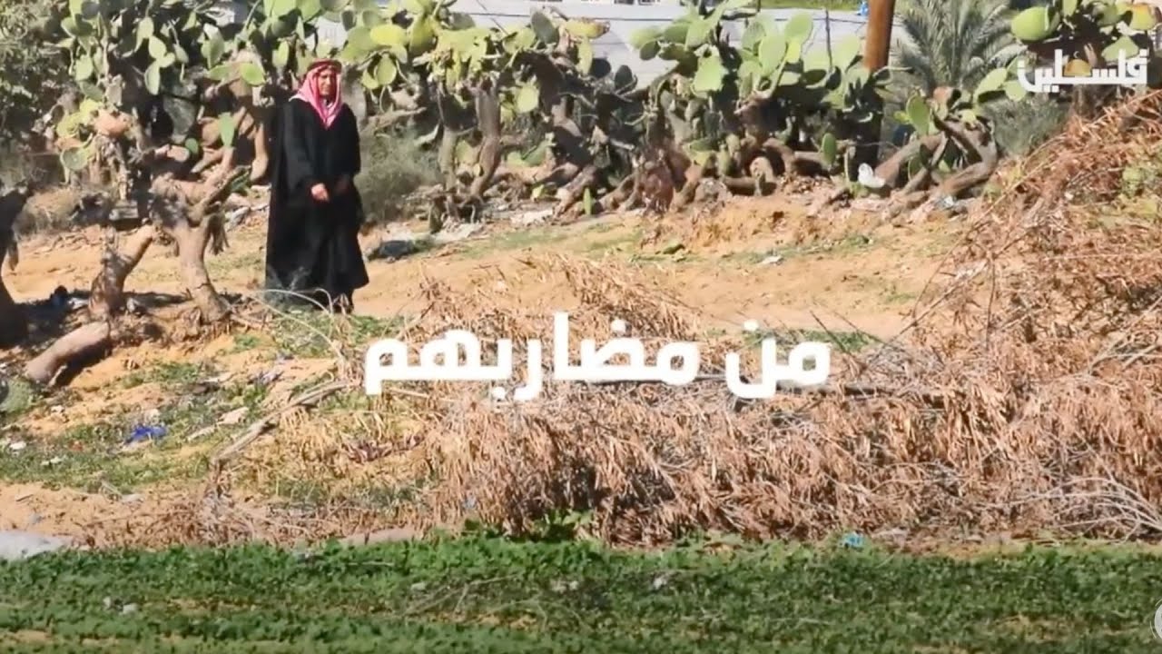 من مضاربهم | الرحالة