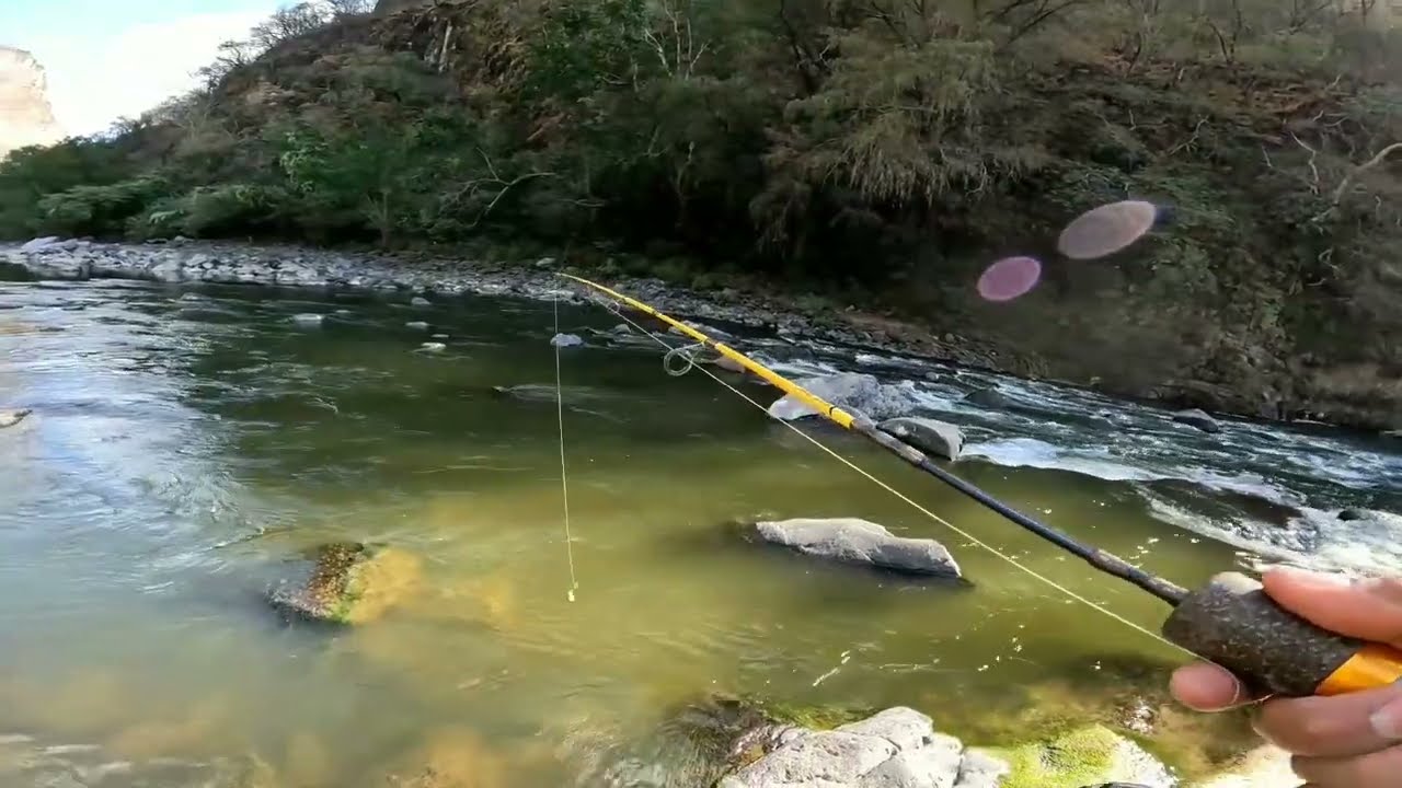 El mejor lugar para Pescar en Jalisco