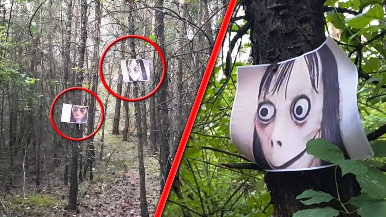 ON TROUVE DES PHOTOS DE MOMO DANS LA F&Ocirc;RET! FLIPPANT! Momo Challenge Fr