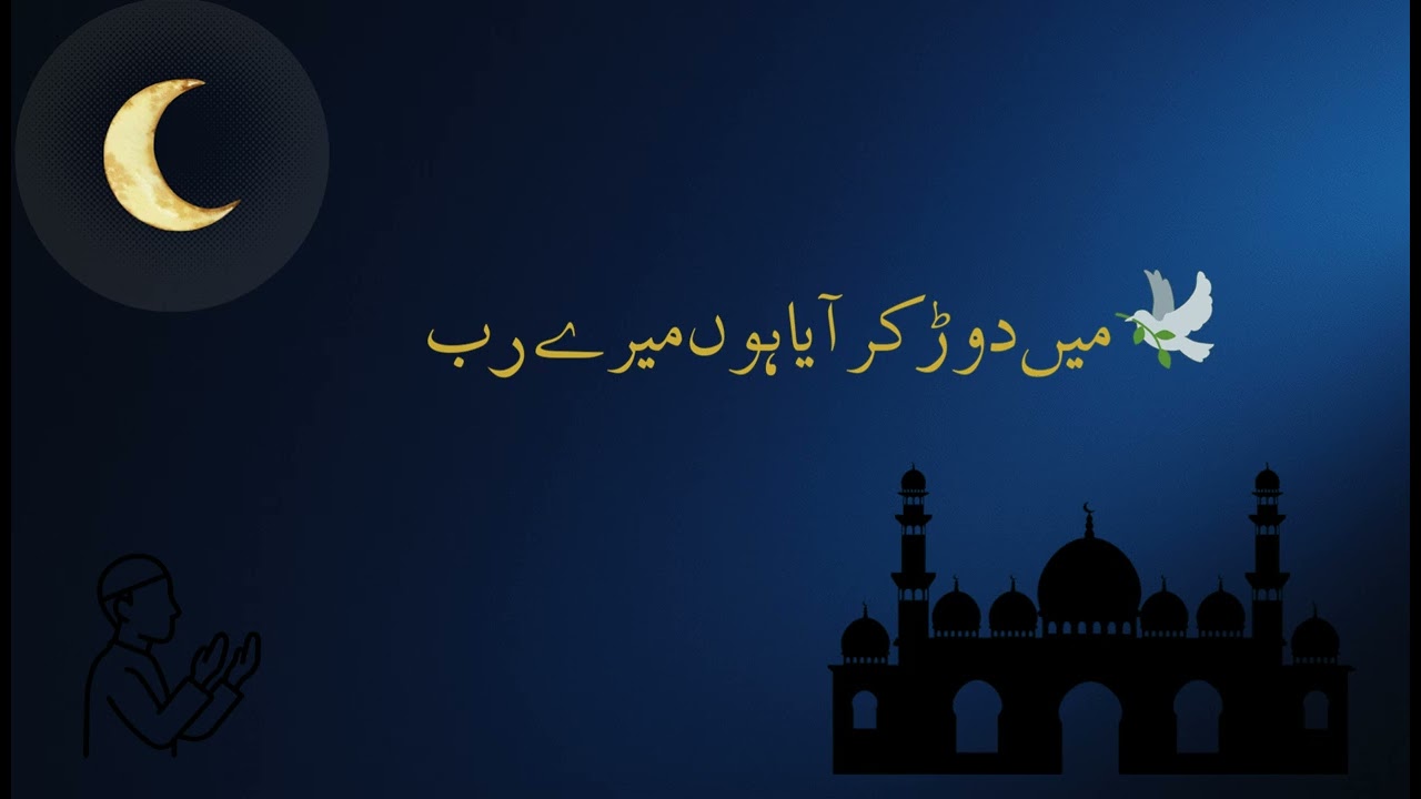 🕊️ میں دوڑ کر آیا ہوں میرے رب  اسلامی نشید