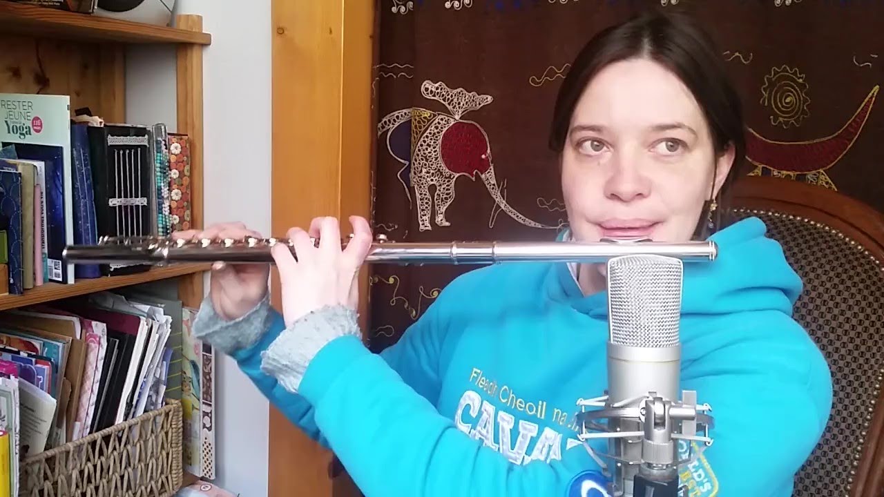 🍀 Irish Music on Silver Flute : Patsy Hanley's, The Sheep in the Boat & The Trip to Bofin (jigs)