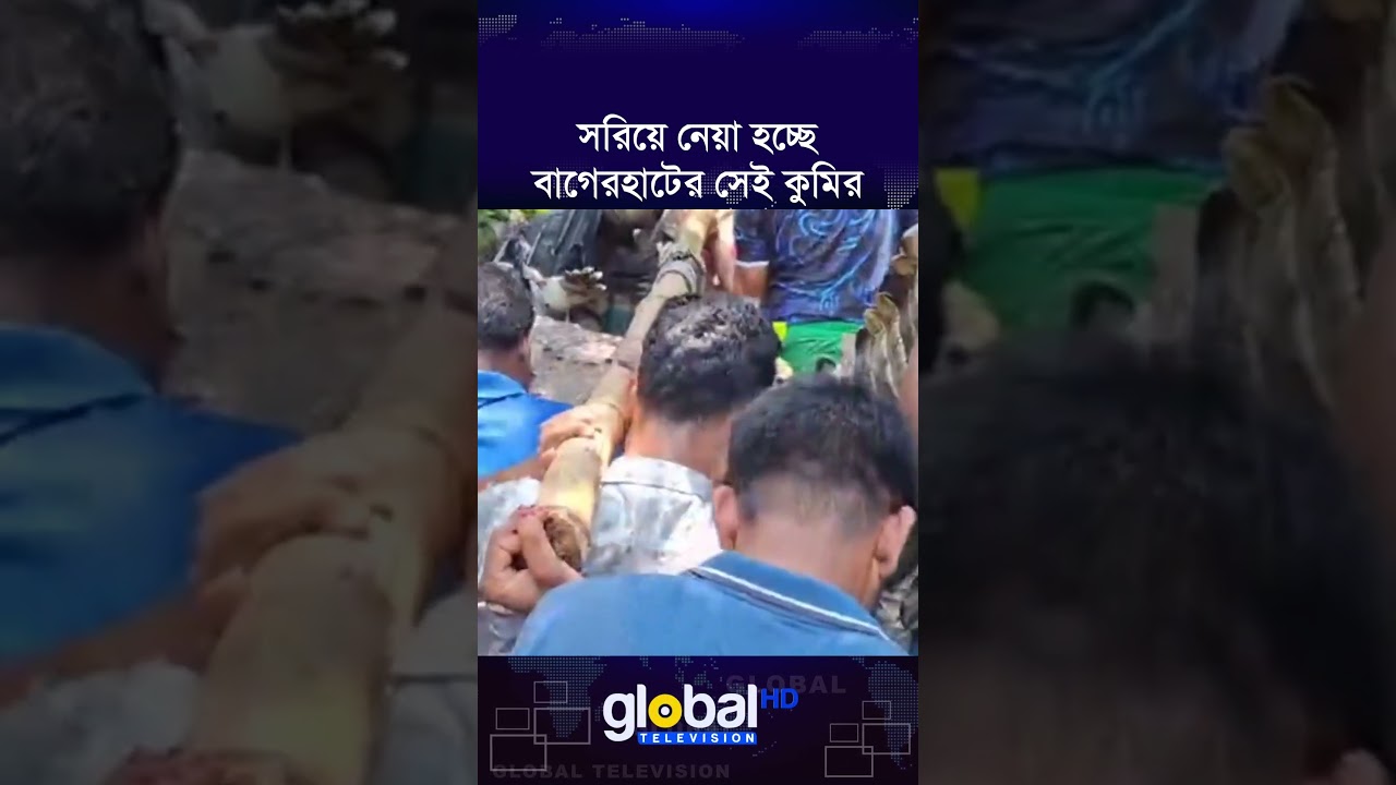 খান জাহান আলী মাজারের সেই কুমির সরিয়ে নেয়া হচ্ছে সুন্দরবনে | Global TV News